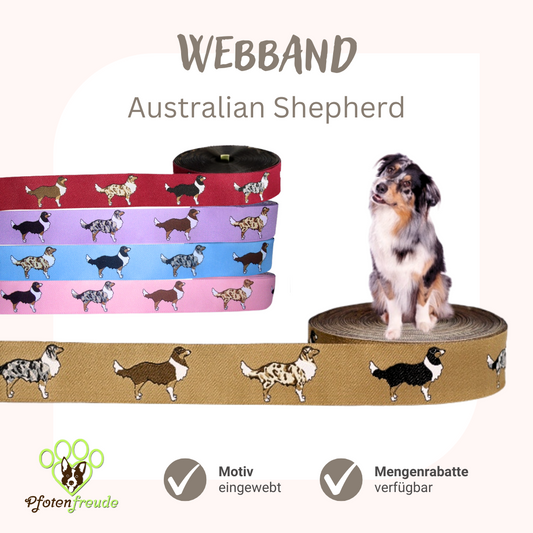 Australian Shepherd Webband Borte Aussie
