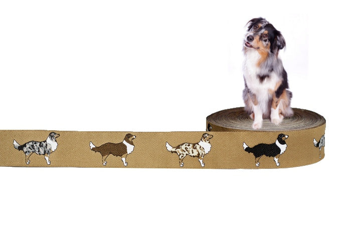 Aussie Webband Borte Australian Shepherd beige