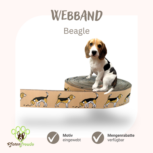 Webband Beagle Hund