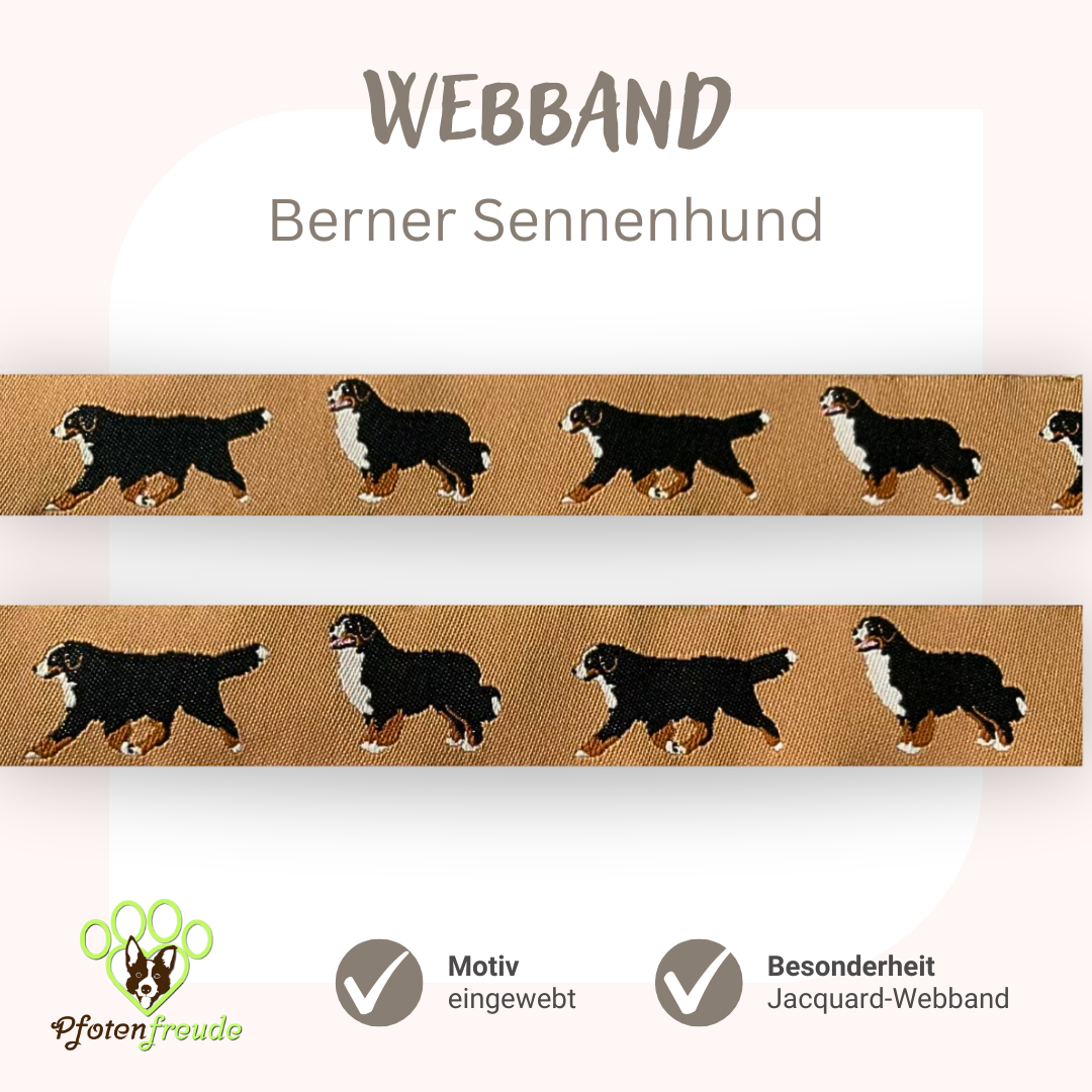 Webband Hund Berner Sennenhund