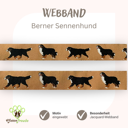 Webband Hund Berner Sennenhund