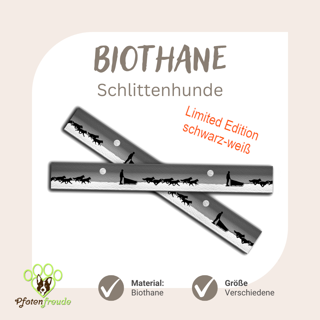 Biothane UV Druck Hunde Winter