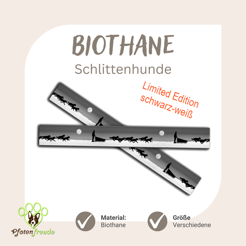 Biothane UV Druck Hunde Winter