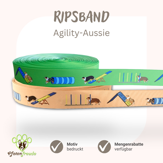 Aussieborte Agility Aussie Borte Hund