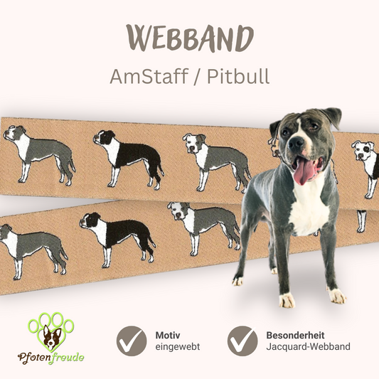 Borte Hund American Pitbull Staffordshire