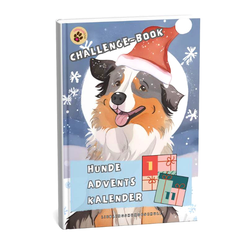 Buch Adventskalender für Hunde Weihnachten