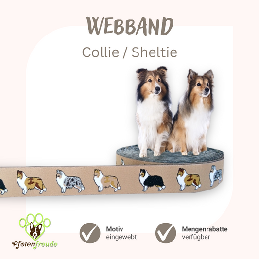 Webband Hund Collie Sheltie