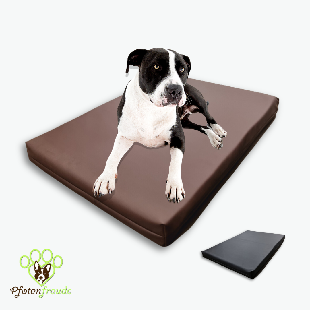 Orthopädisches Hundebett braun