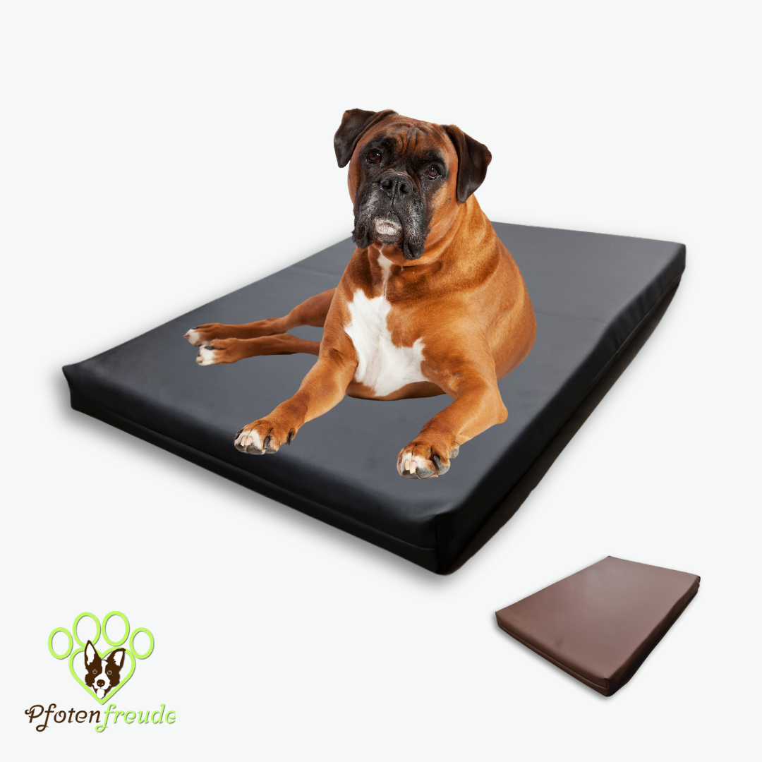Orthopädie Hundekissen Memoryschaum
