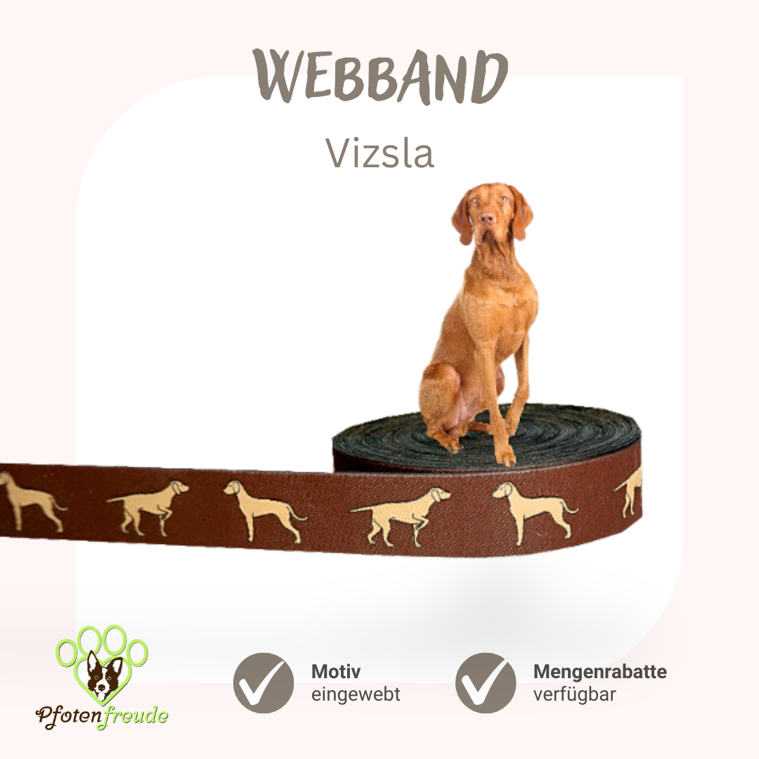 Webband Hund Vizsla