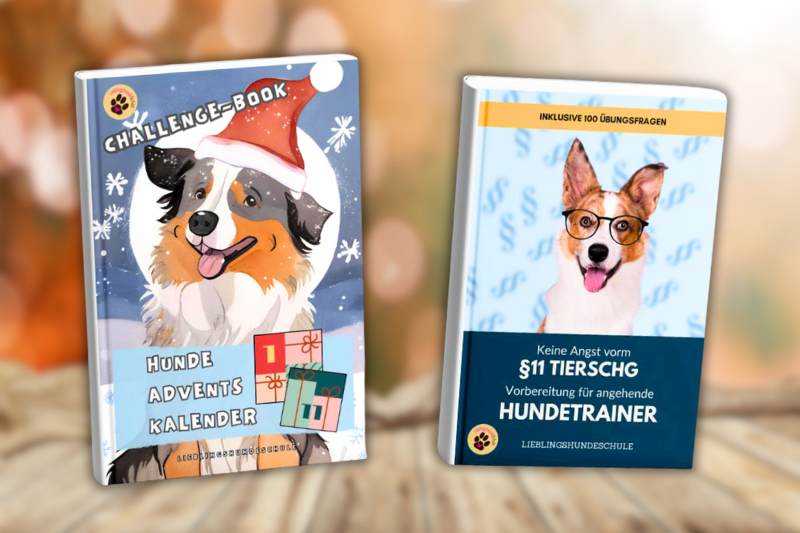 Buch Hundeerziehung Hundetrainer Bücher
