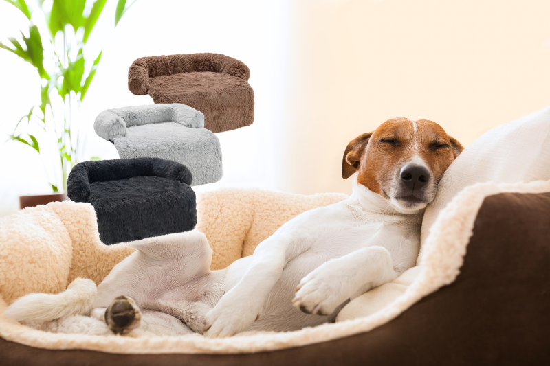 Hundebetten