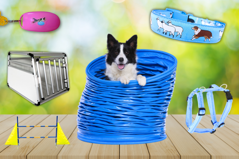 Hunde Zubehör online Shop kaufen