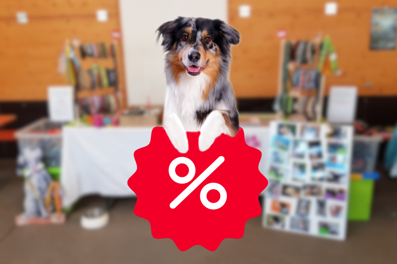 Hunde Shop Zubehör Restposten Angebote