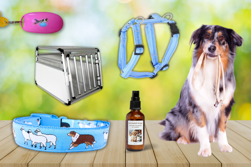Hunde Zubehör online Shop kaufen