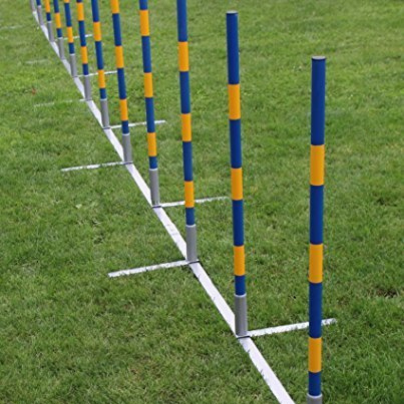 Agility Slalom starr Profi Turnier