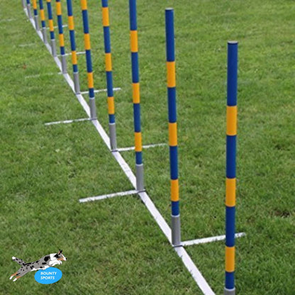 Agility Slalom FCI Standard Hunde