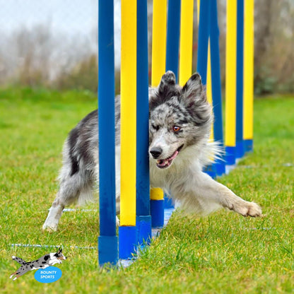 Hunde Agility Slalom Agilityslalom Geräte