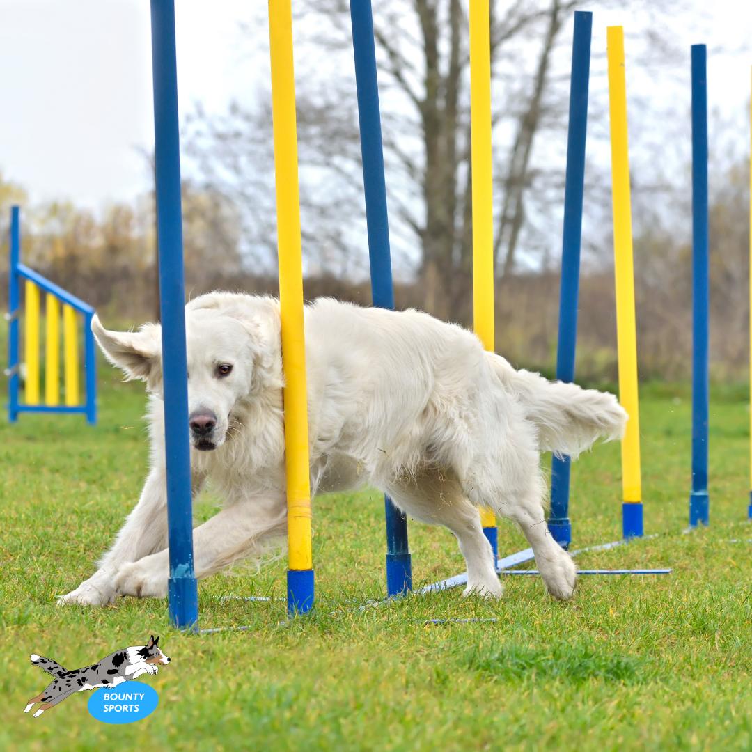 Hunde Slalom Agility Geräte PVC