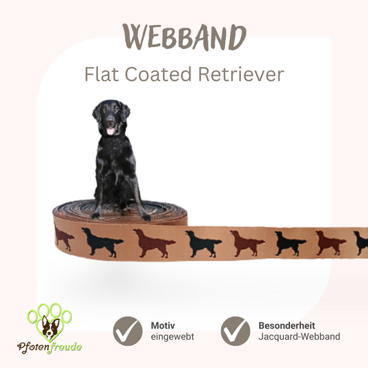 Webband Hund Flat Coated Retriever