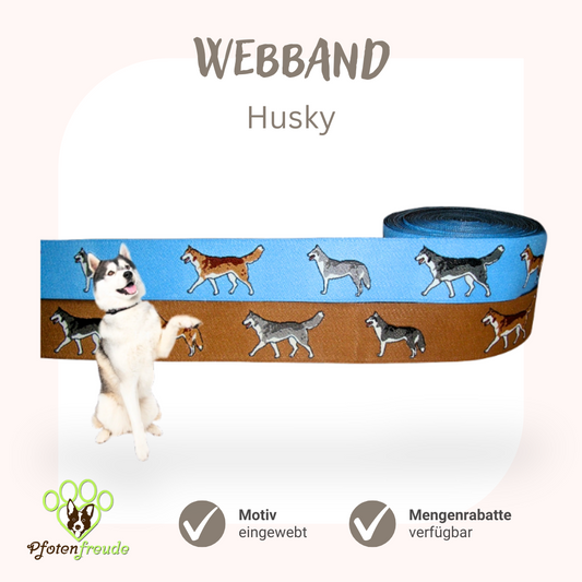 Webband Hund Husky