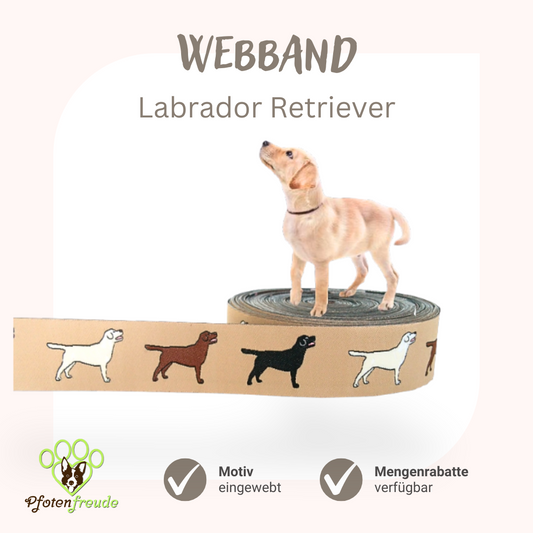 Webband Hund Labrador