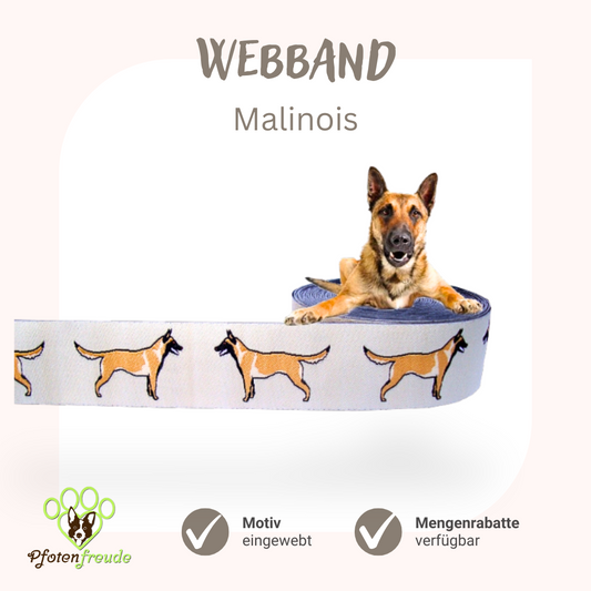 Webband Hund Malinois