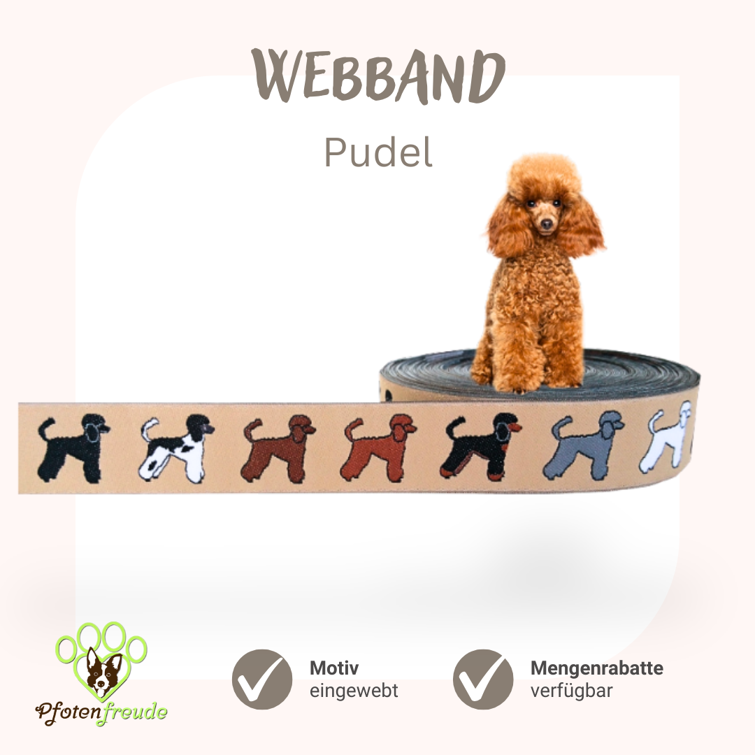 Webband Hund Pudel